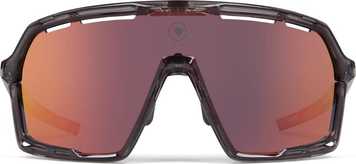 Endura Pro Sl Glasses Set Gy (Grau, Diverse Farben)