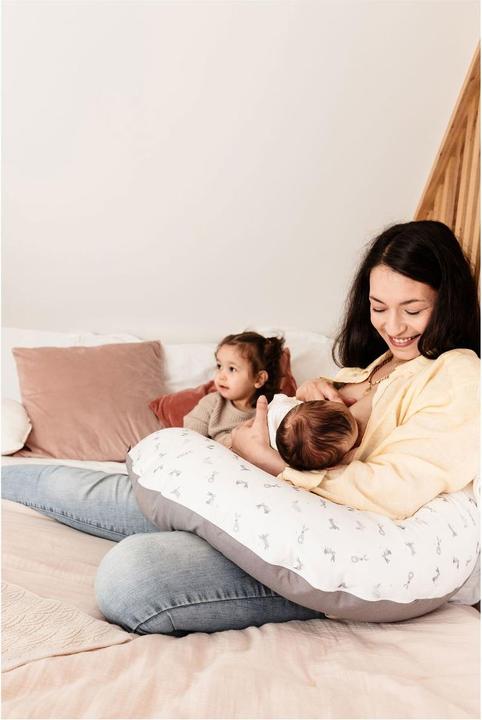 Image du produit Candide Coussin de grossesse multifonctionnel
