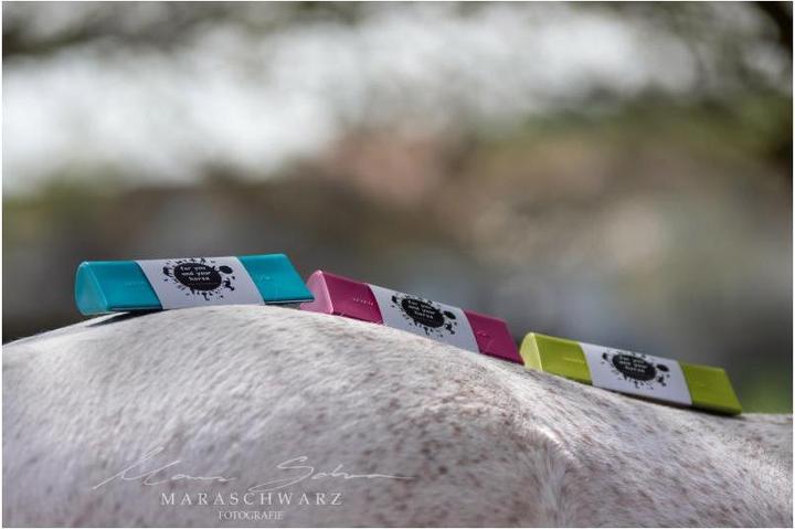 Produktbild Soulhorse Fellschön Fellwechselhelfer