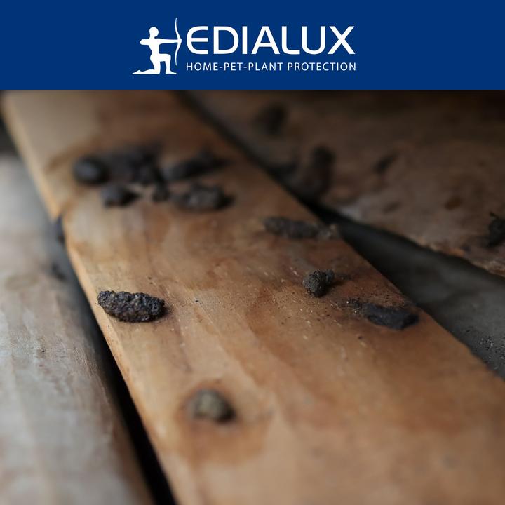 Productafbeelding Edialux Quicksnap rattenval, promoverpakking 2+1 stuks
