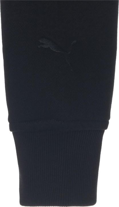 Image du produit Puma BMW M Hoodie 50TH (M)
