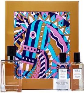 Hermès Hermes Terre D'Hermes Eau de Toilette Spray 50mL Herrenparfüm (Eau de Toilette, 50 ml)