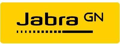 Produktbild Jabra Evolve 20 (Kabelgebunden, USB-A)