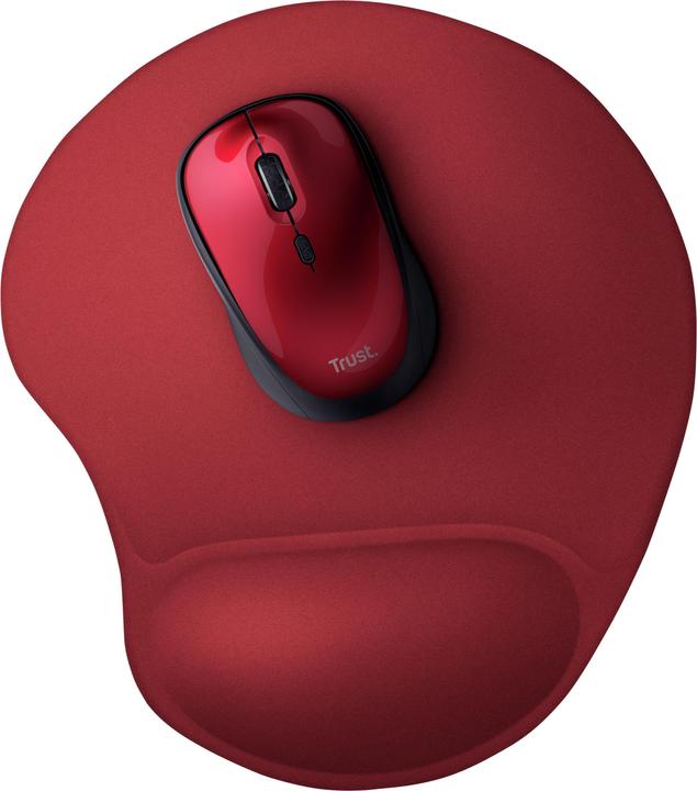 Actual product image Trust BigFoot (S)