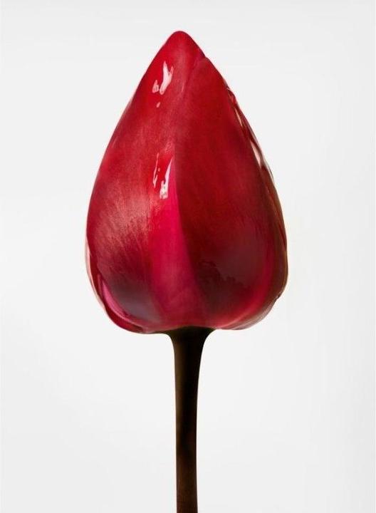 Actual product image Shu Uemura Essence Absolue Nourishing Universal Hair & Skin Balm (150 ml)