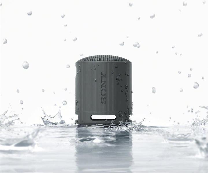 Immagine prodotto Sony SRS-XB100 (16 h, Batteria ricaricabile)