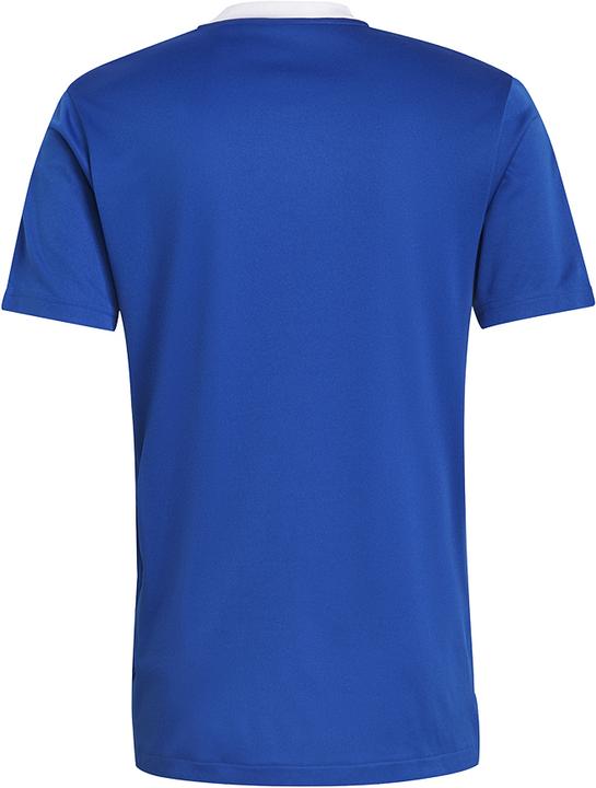 Actual product image adidas Tiro 21 Training Jersey (M)