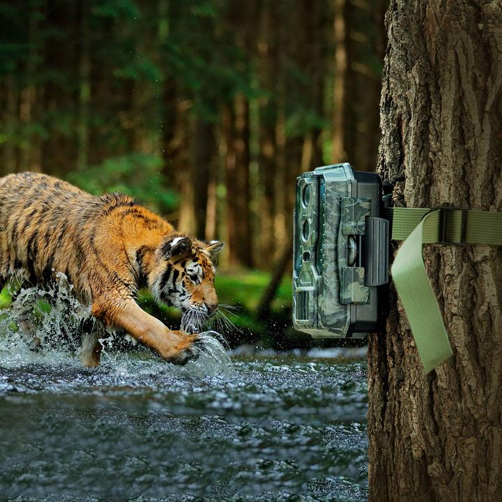 Actual product image Casativo Wildlife camera with motion sensor, rear view camera