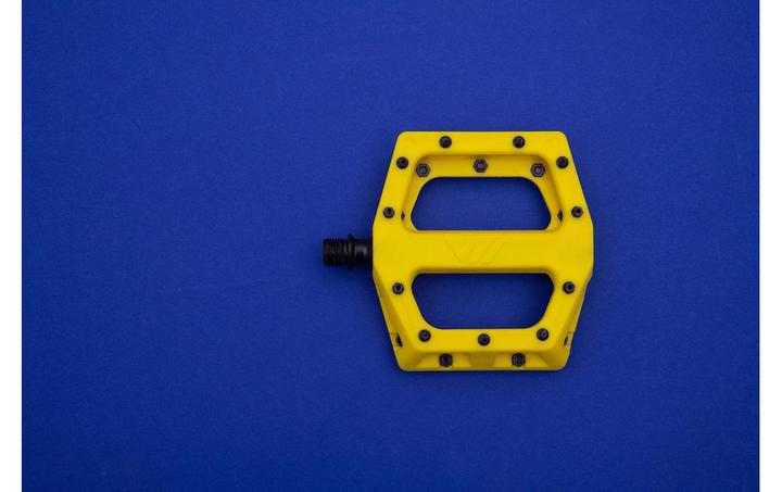 Actual product image DMR V11