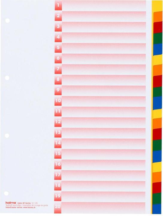 Actual product image Kolma Index A4 strong blank 20-piece coloured