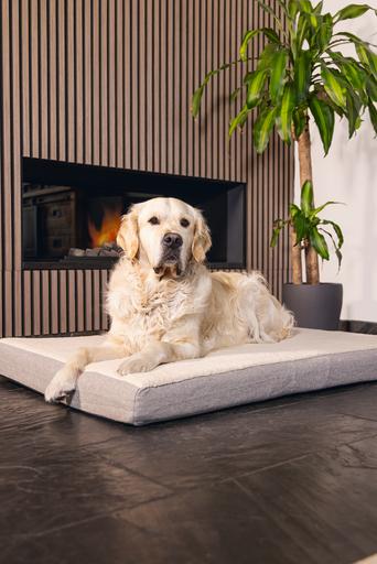 Actual product image Beeztees Zira (Dog)