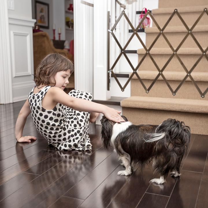 Immagine prodotto Relaxdays Barriera per cani (3 cm)