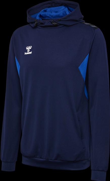 Actual product image hummel Hmlauthentic Pl Hoodie (L)