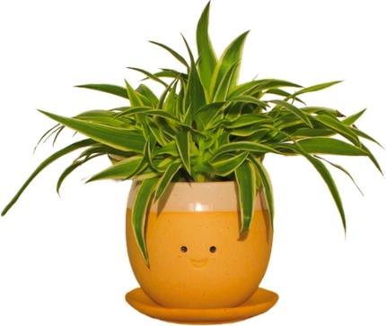 Produktbild Mags Blumentopf: Glückstränen (1 x, 14 x 14 x 14 cm)