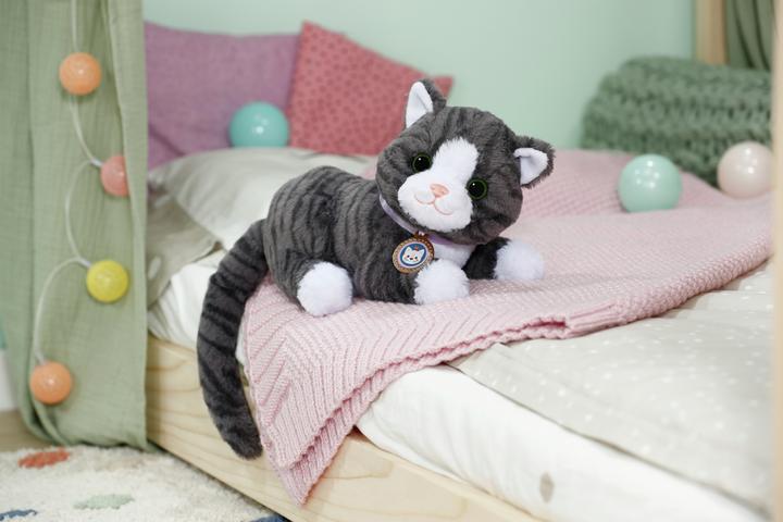 Produktbild Zapf Creation BABY born Mein Kätzchen Cookie mit Box (19.30 cm)