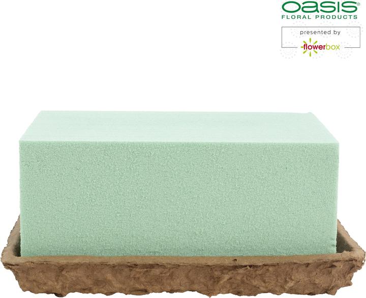 Actual product image Oasis BIOLIT® Trauerbouquet Medi 17x11x7,7 cm, 6x4 Stk.