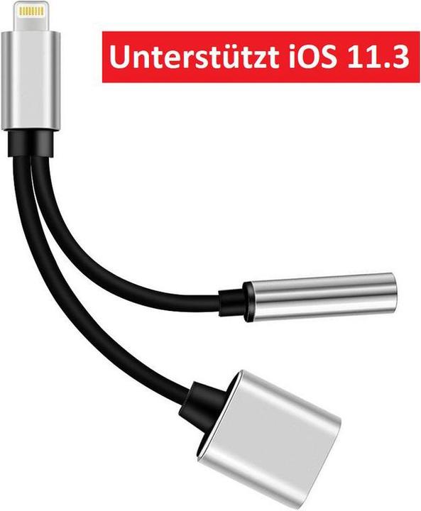 Immagine prodotto Hermex Cavo adattatore da Lightning a 3,5 mm audio + cuffie Lightning iOS 11.3 SILVER (Lightning, Jack da 3.5mm)