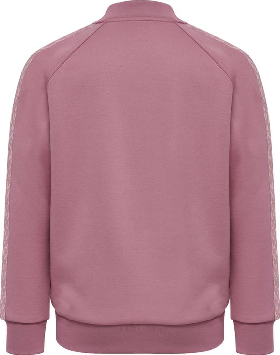 Actual product image hummel Trick Zip Jacket (176)