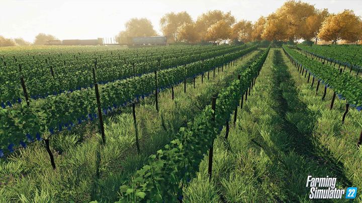 Actual product image Giants Software Farming Simulator 22 - Premium Edition (PS4, IT, FR)