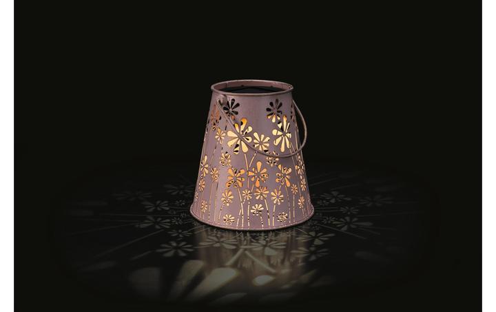 Actual product image STT Antic Daisy