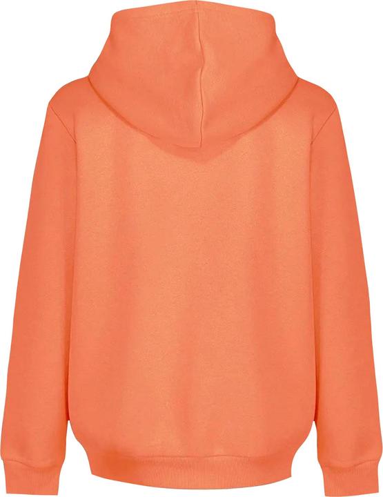 Actual product image Light and Shade Womens/Ladies Hoodie (S)