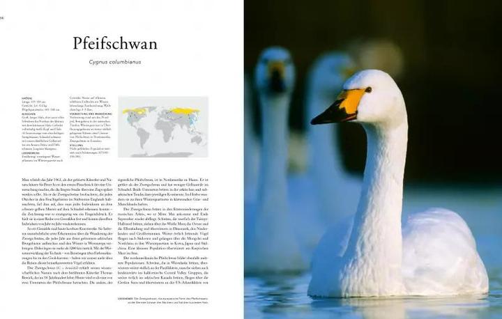 Image du produit Zugvögel (Allemand, Mike Unwin, 2021)