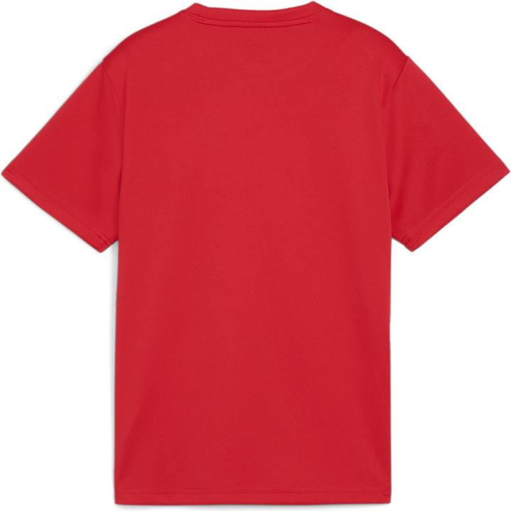 Immagine prodotto Puma Maglia TeamGOAL Jr (140)