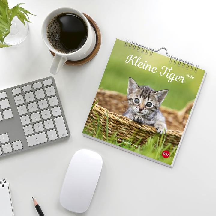 Image du produit Katzen Postkartenkalender Kleine Tiger 2026 (16 x 17 cm, Couverture rigide, Allemand)