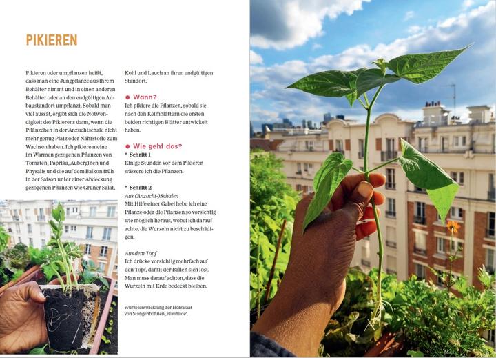 Productafbeelding Mein Permakultur-Balkon (Duits, Valéry Tsimba, 2022)