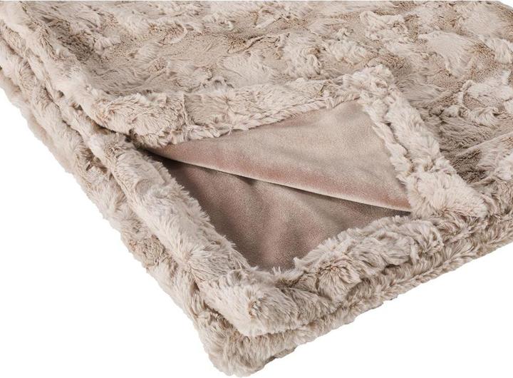 Actual product image Laboni Couverture Cozy L (Dog)