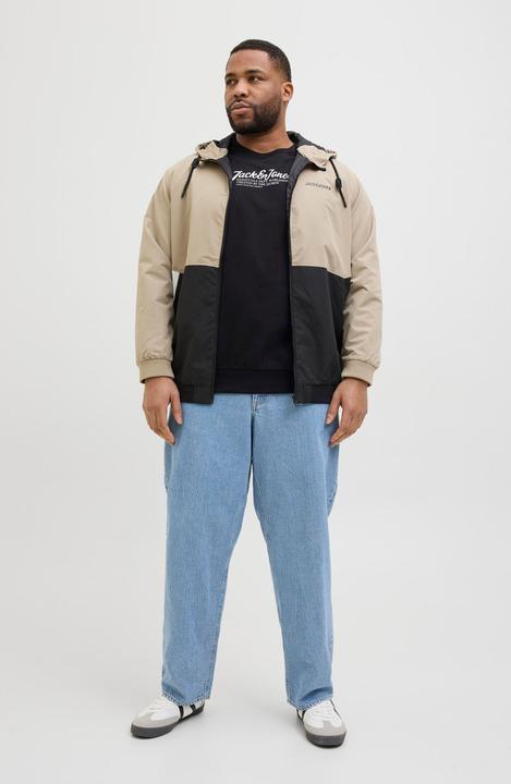 Actual product image Jack & Jones Plus Size Gedruckt Sweatshirt Sweatshirt (7XL)