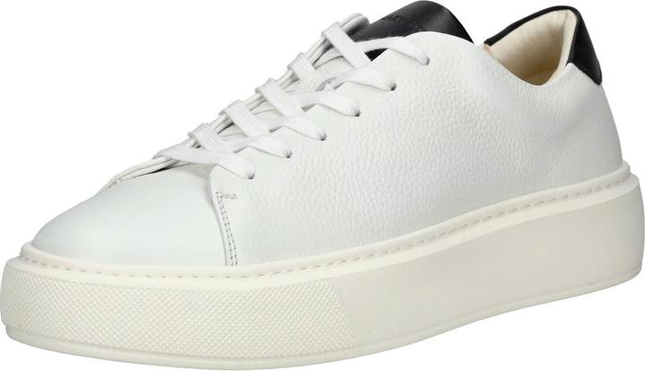 Sneaky Steve Sneaker