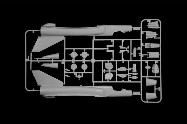 Actual product image 1:48 Mirage III E