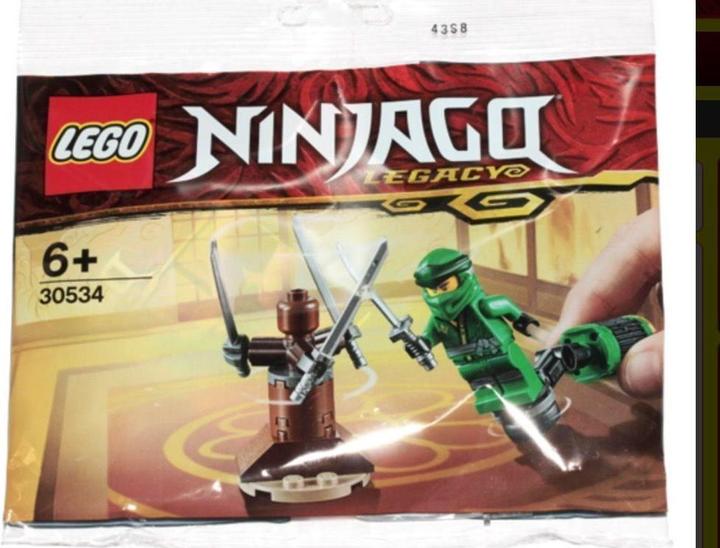 Actual product image LEGO Ninjago Ninja Training (30534, LEGO Ninjago)