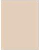 Produktbild Sisley Phyto Hydratant Teint No "0,5" (0.5 Opal)