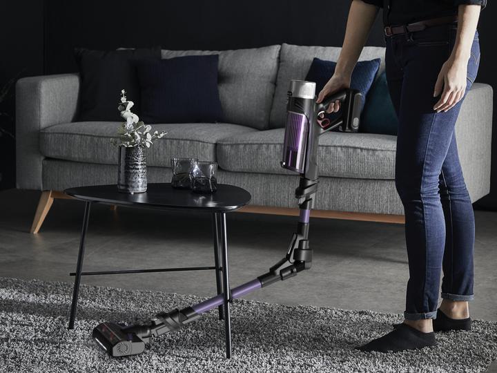 Image du produit Rowenta X-Force Flex 9.60 RH2039