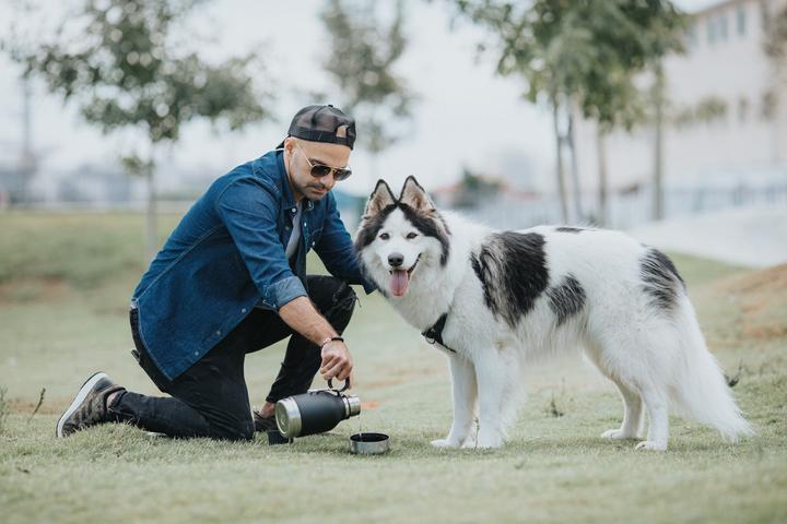 Immagine prodotto Asobu Bottiglia per cani 0,975 L (1 l)