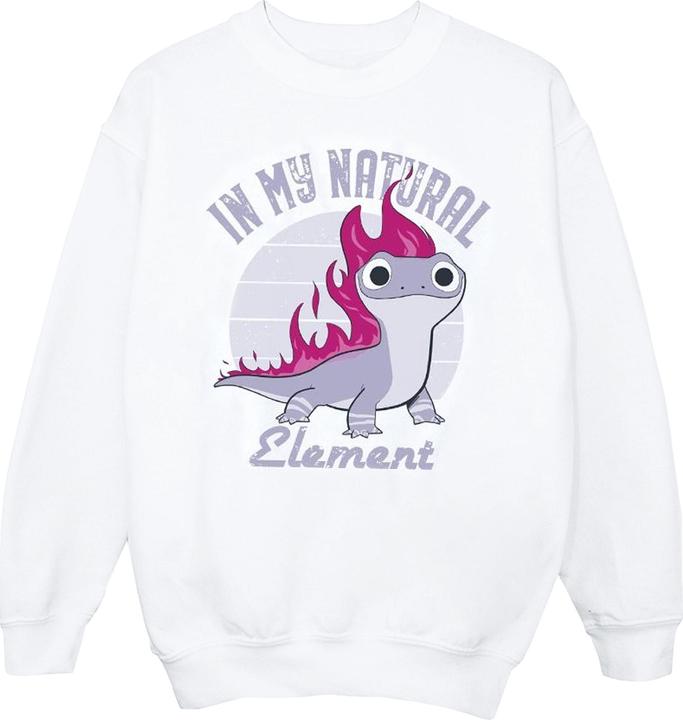 Disney Frozen 2 Salamander Bruni Element Sweatshirt Jungen