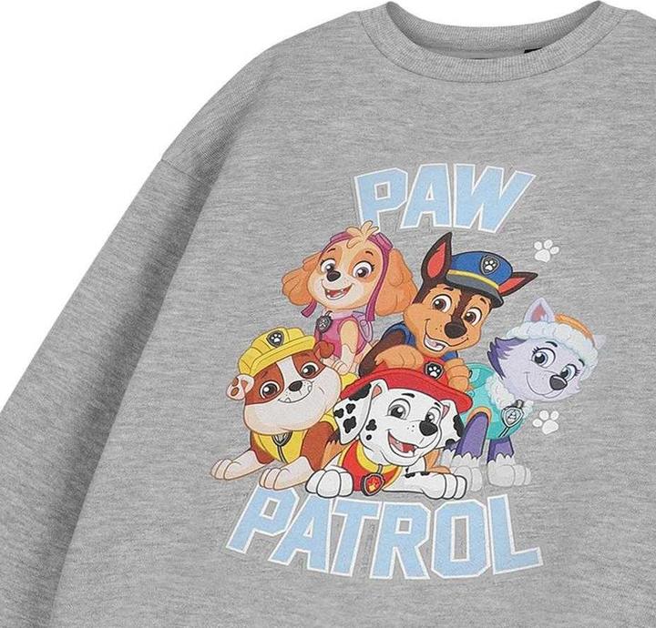 Actual product image Paw Patrol Childrens/Kids Collegiate Sweatshirt (116)
