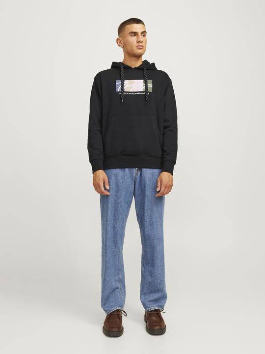 Actual product image Jack & Jones Jorportland Block Sweat Hood Ln (S)