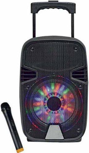 Actual product image Dansing Enceinte Autonome Et Lumineuse 8 Pouces + Micro Sans Fil (Fr)