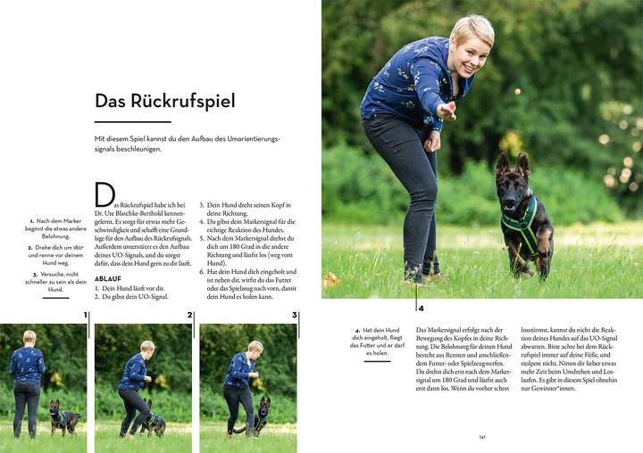 Produktbild Kosmos Marker-Training für Hunde (Deutsch, Ulrike Seumel, 2020)