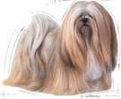 Immagine prodotto Royal Canin Exigent Mini (Adulto, 1 pz., 1000 g)