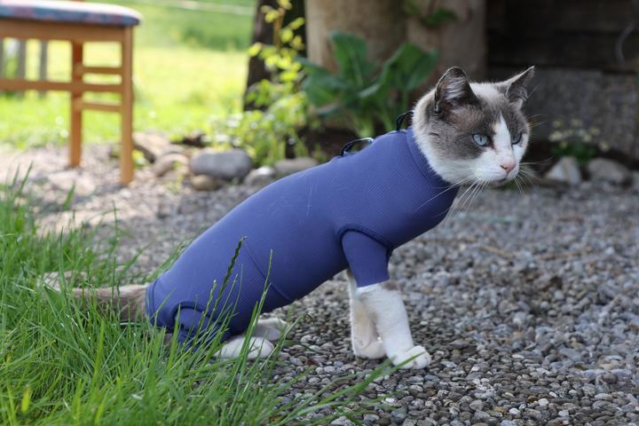 Image du produit Vetmedcare Body chat (Chat)