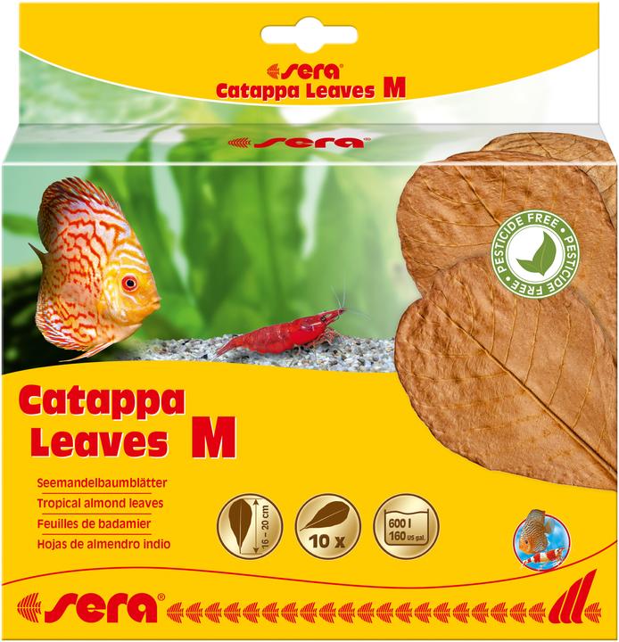 Image du produit Sera Feuilles de catappa d'eau (Traitement de l'eau Aquarium)