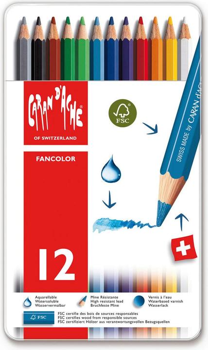 Immagine prodotto Caran d'Ache Fancolor Farbstifte Metallschachtel (Multicolore, 12 x)