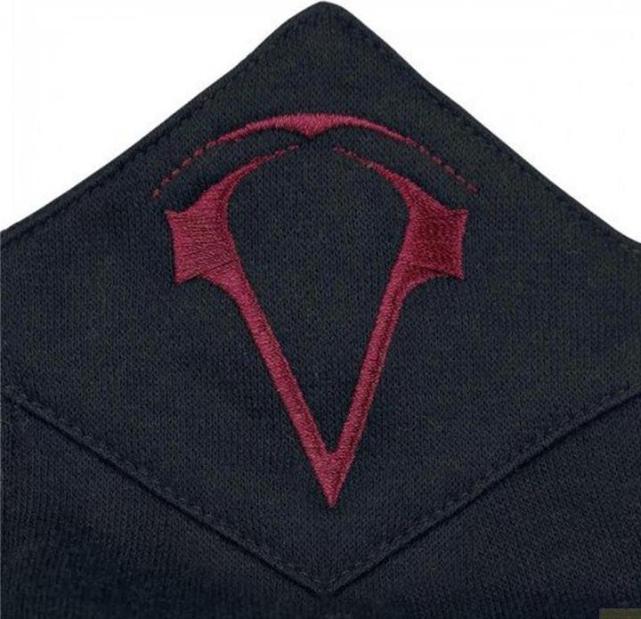 Immagine prodotto Felpa con cappuccio Assassins Creed IV Black Flag Logo (L)