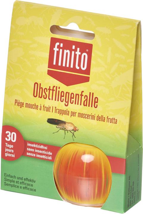 Actual product image Finito Fruit fly trap