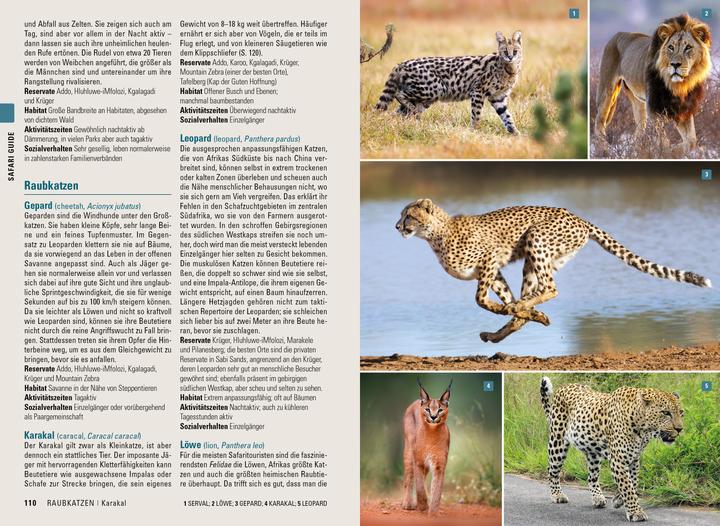 Produktbild Stefan Loose Reiseführer Südafrika, Lesotho und eSwatini (Deutsch, Philip Briggs, Ariadne Van Zandbergen, 2024)