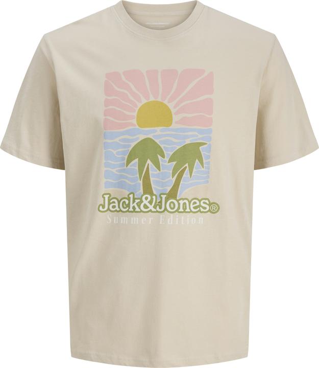 Produktbild Jack & Jones Jordown Tee Ss Crew Neck Stydss25 (M)